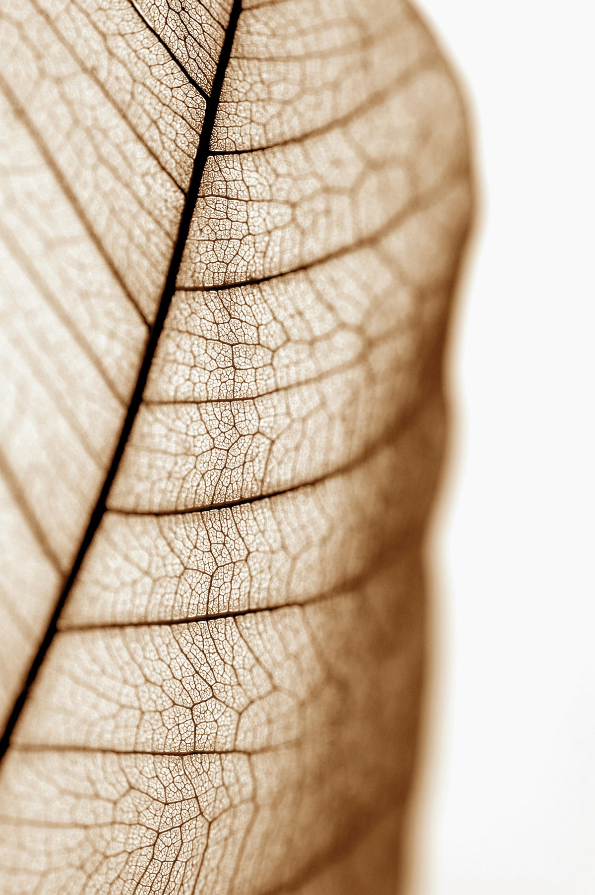 Wat jouw huid nodig heeft in de herfst →